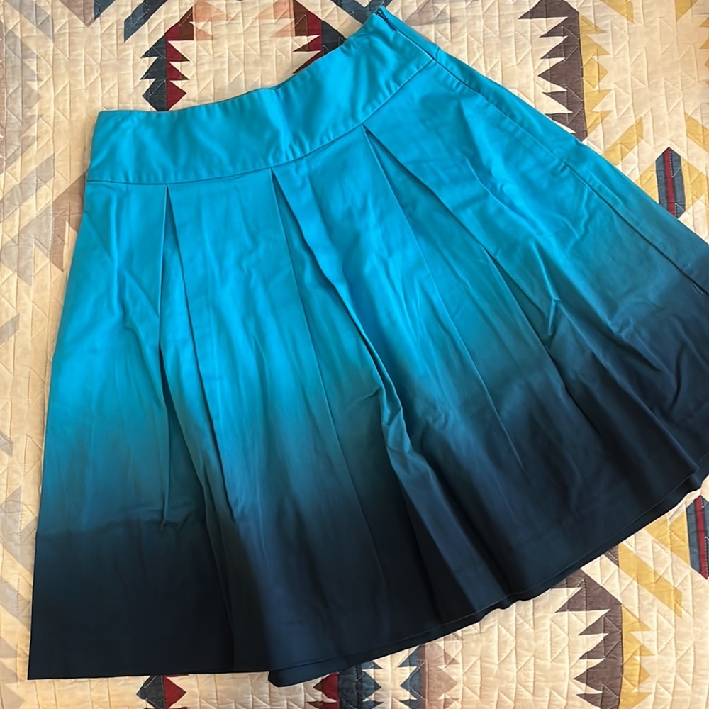 Express A-Line Ombré Skirt